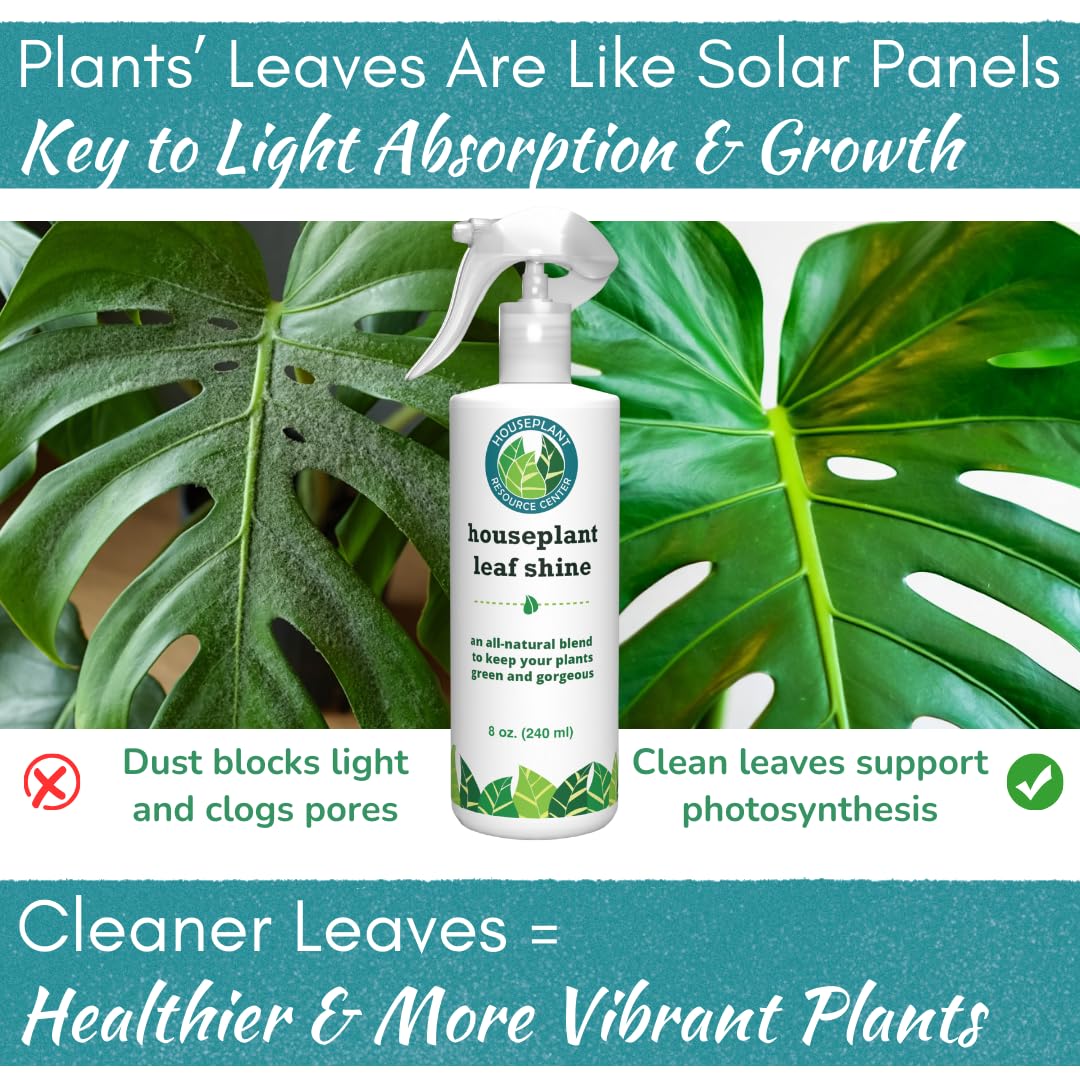 Houseplant Leaf Shine Spray bottle close-up