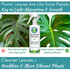 Houseplant Leaf Shine Spray bottle close-up