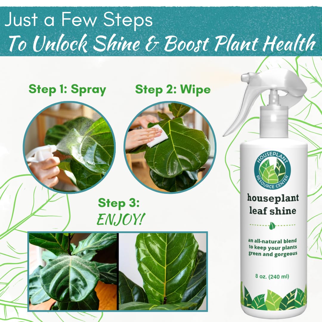 Houseplant Leaf Shine Spray showing glossy leaves