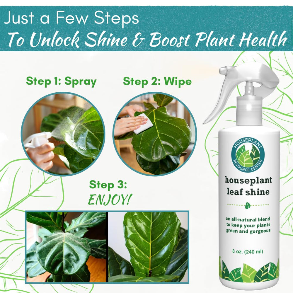 Houseplant Leaf Shine Spray showing glossy leaves
