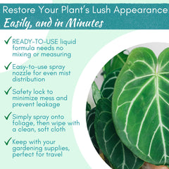 Houseplant Leaf Shine Spray with Fiddle Leaf Fig plants