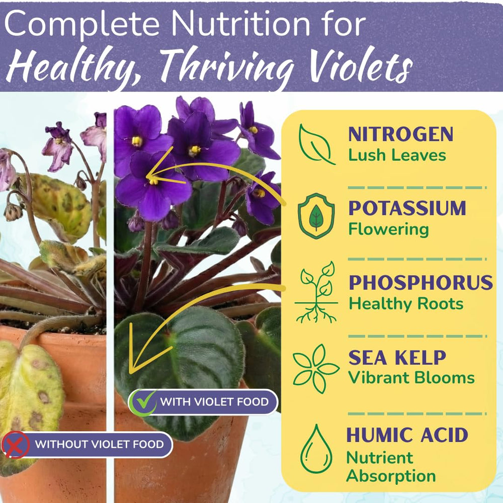 HOUSEPLANT RESOURCE CENTER African Violet Fertilizer 8 oz label close-up