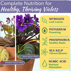 HOUSEPLANT RESOURCE CENTER African Violet Fertilizer 8 oz label close-up