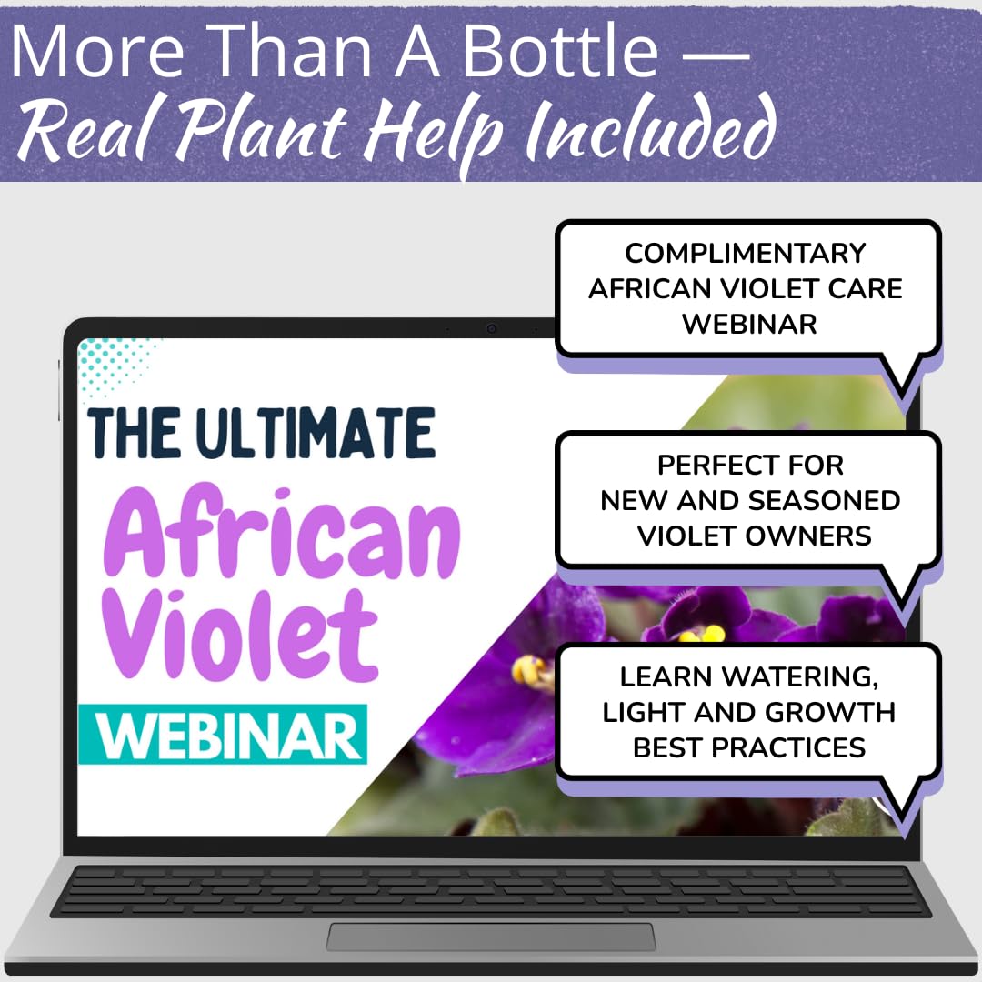 HOUSEPLANT RESOURCE CENTER African Violet Fertilizer application guide