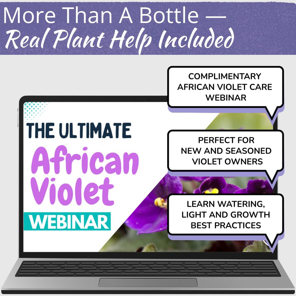 HOUSEPLANT RESOURCE CENTER African Violet Fertilizer application guide