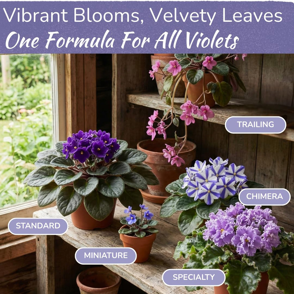 HOUSEPLANT RESOURCE CENTER African Violet Fertilizer bottle with plants
