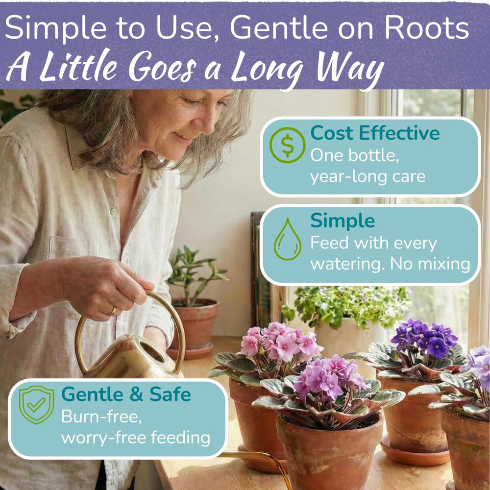 HOUSEPLANT RESOURCE CENTER African Violet Fertilizer in a garden setting