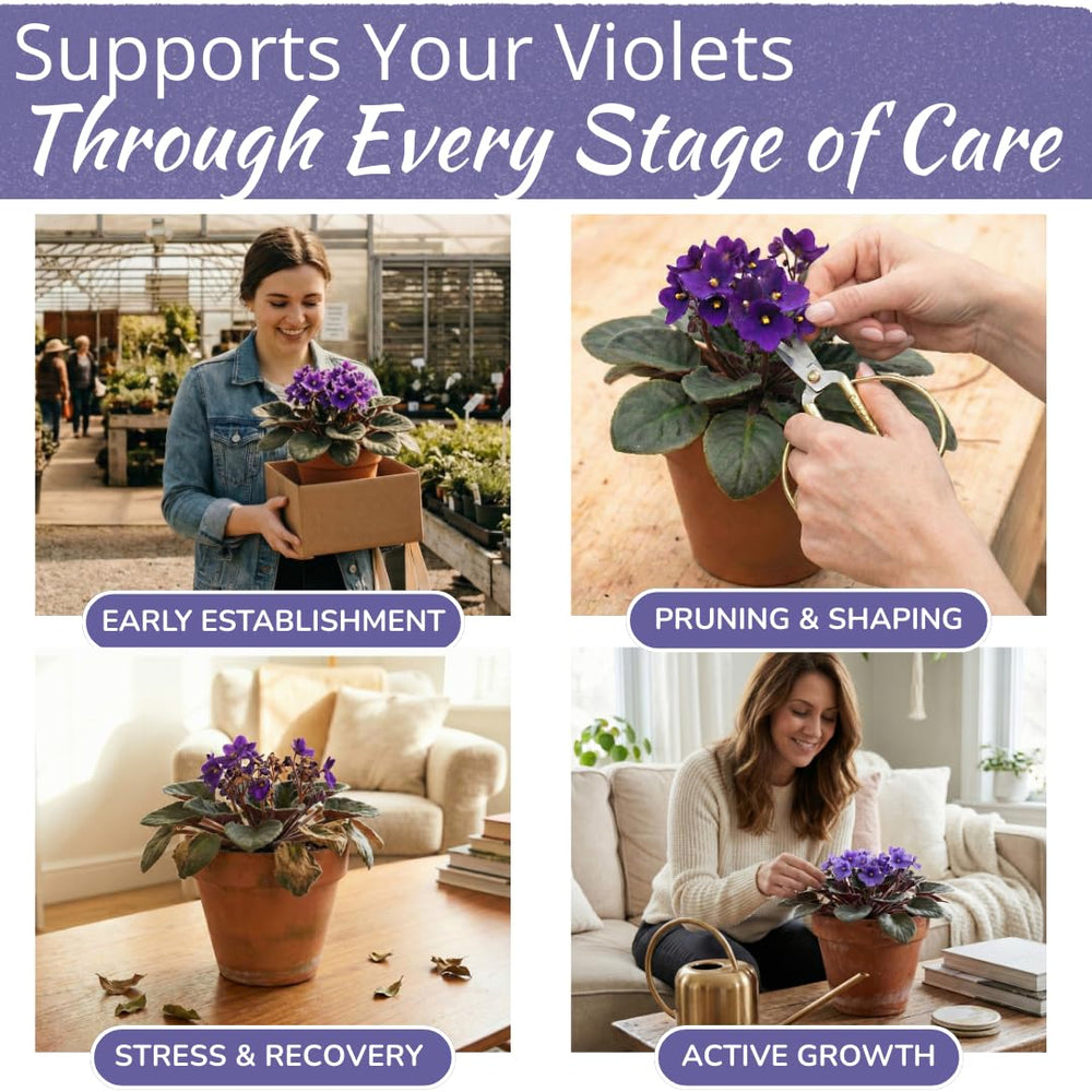 HOUSEPLANT RESOURCE CENTER African Violet Fertilizer liquid pouring