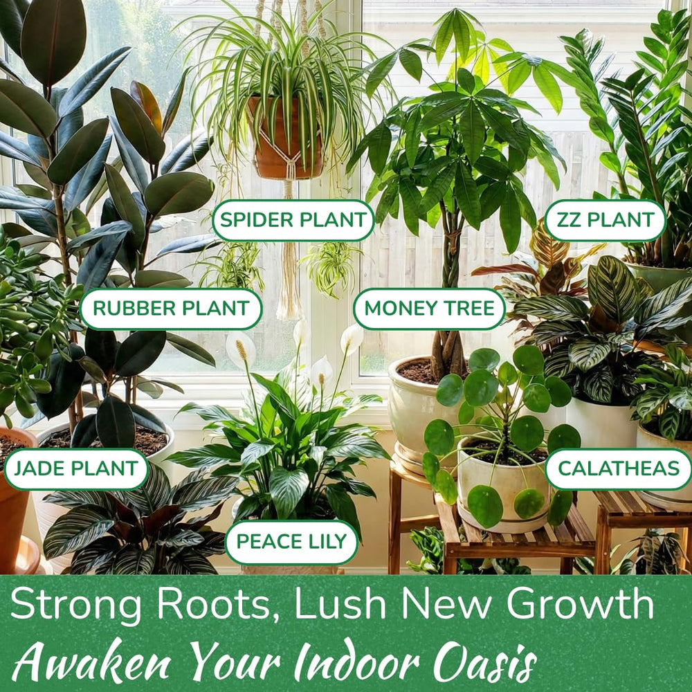 HOUSEPLANT RESOURCE CENTER Indoor Plant Food bottle on a wooden table