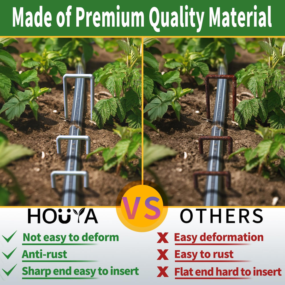 houya landscape staples displayed in a garden setting