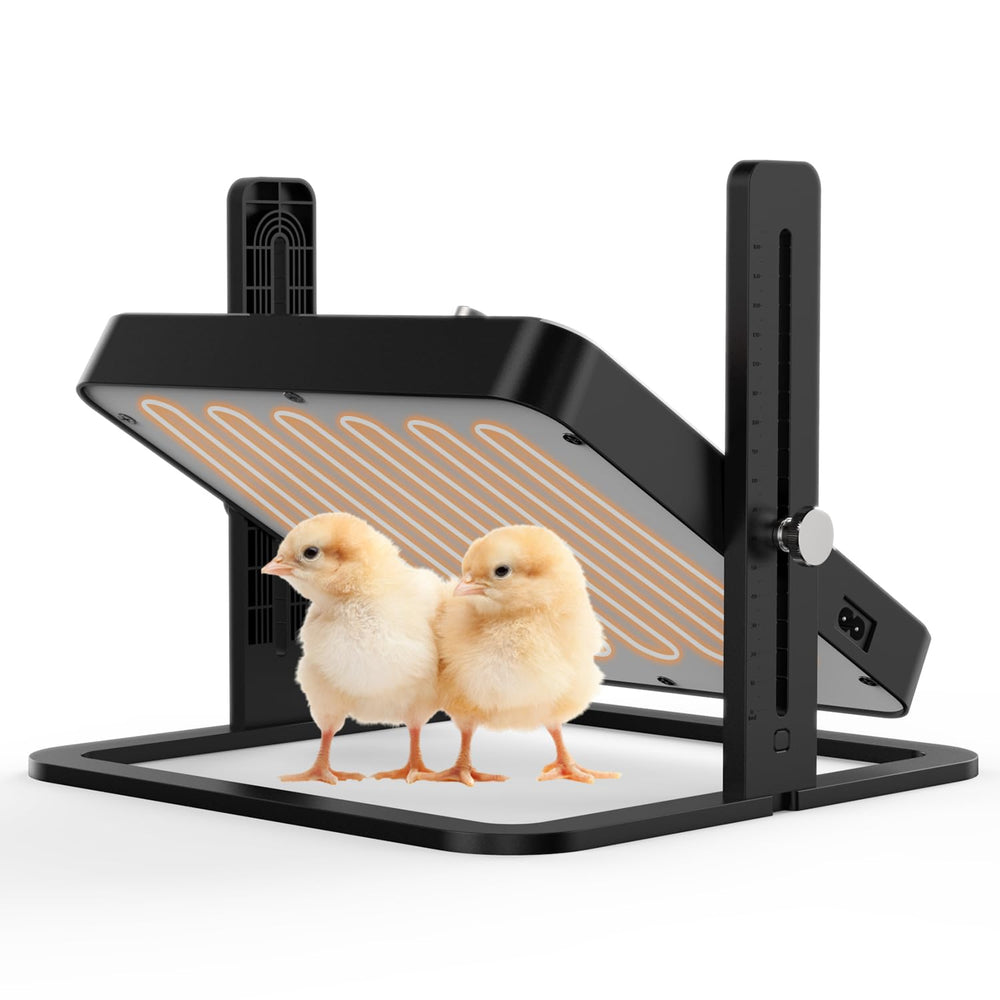 howooiua Chick Heating Plate front view with adjustable height
