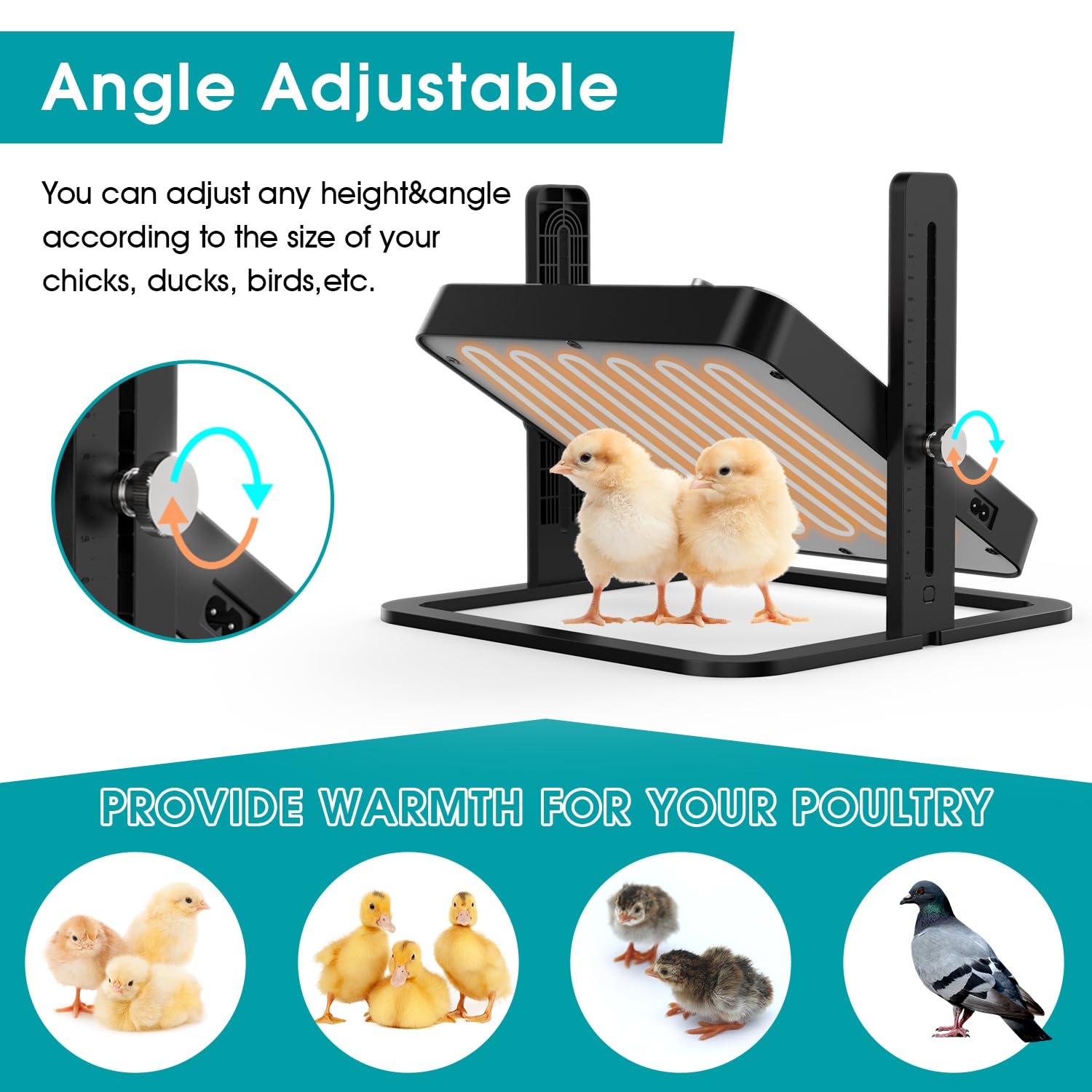 howooiua Chick Heating Plate in use with multiple chicks