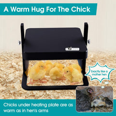 howooiua Chick Heating Plate side view showing adjustable angle