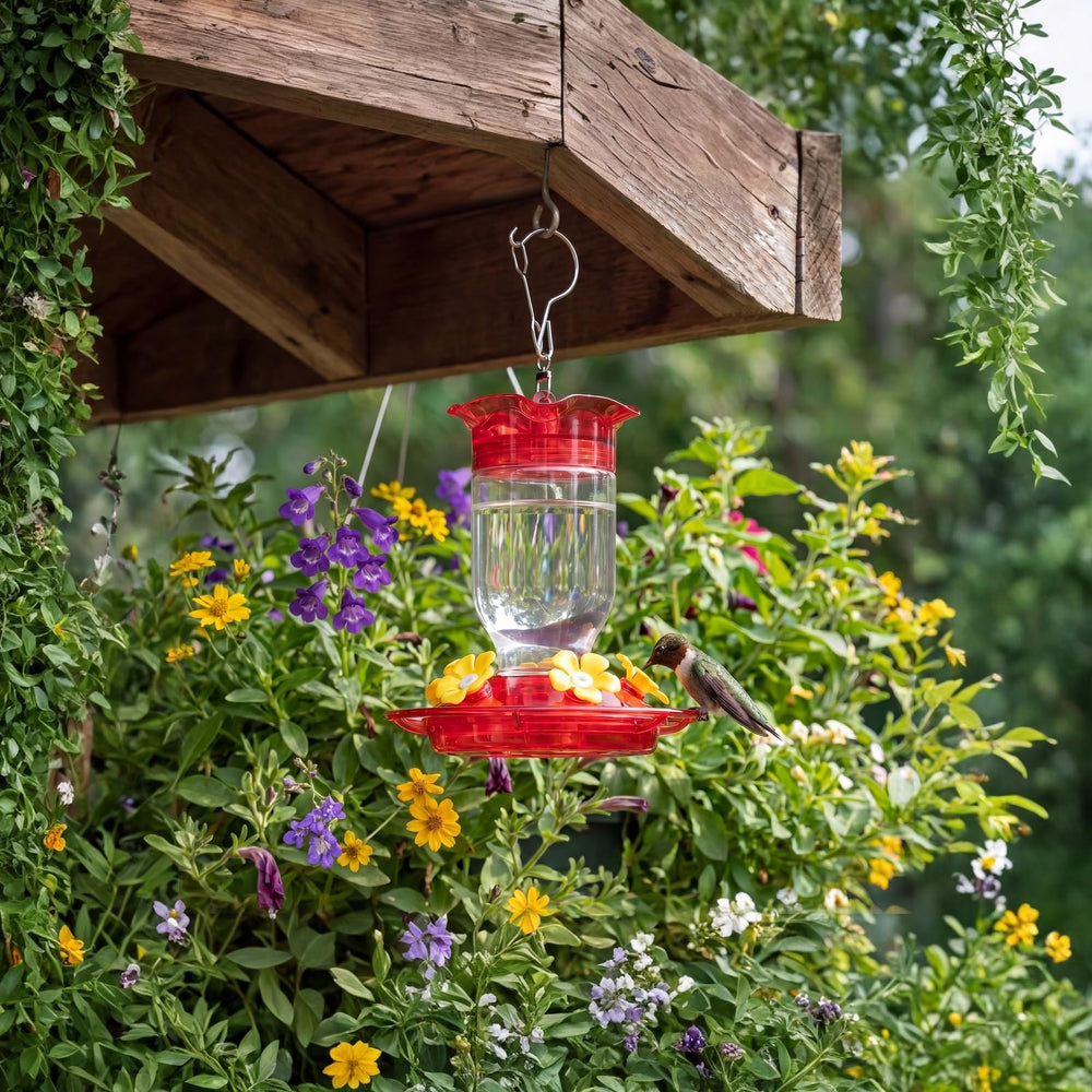 Hpewi hummingbird feeder dimensions and features overview