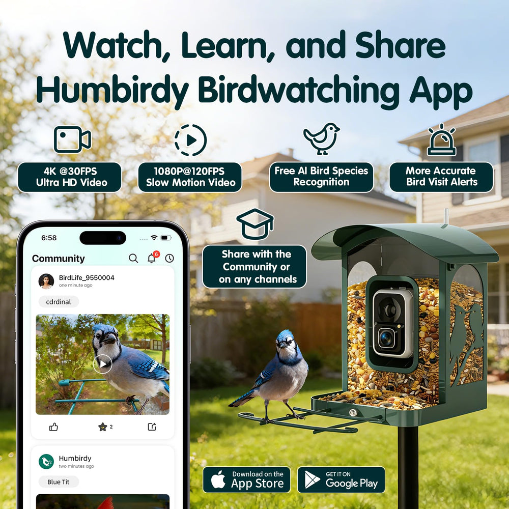 Humbirdy feeder showcasing the green colour design