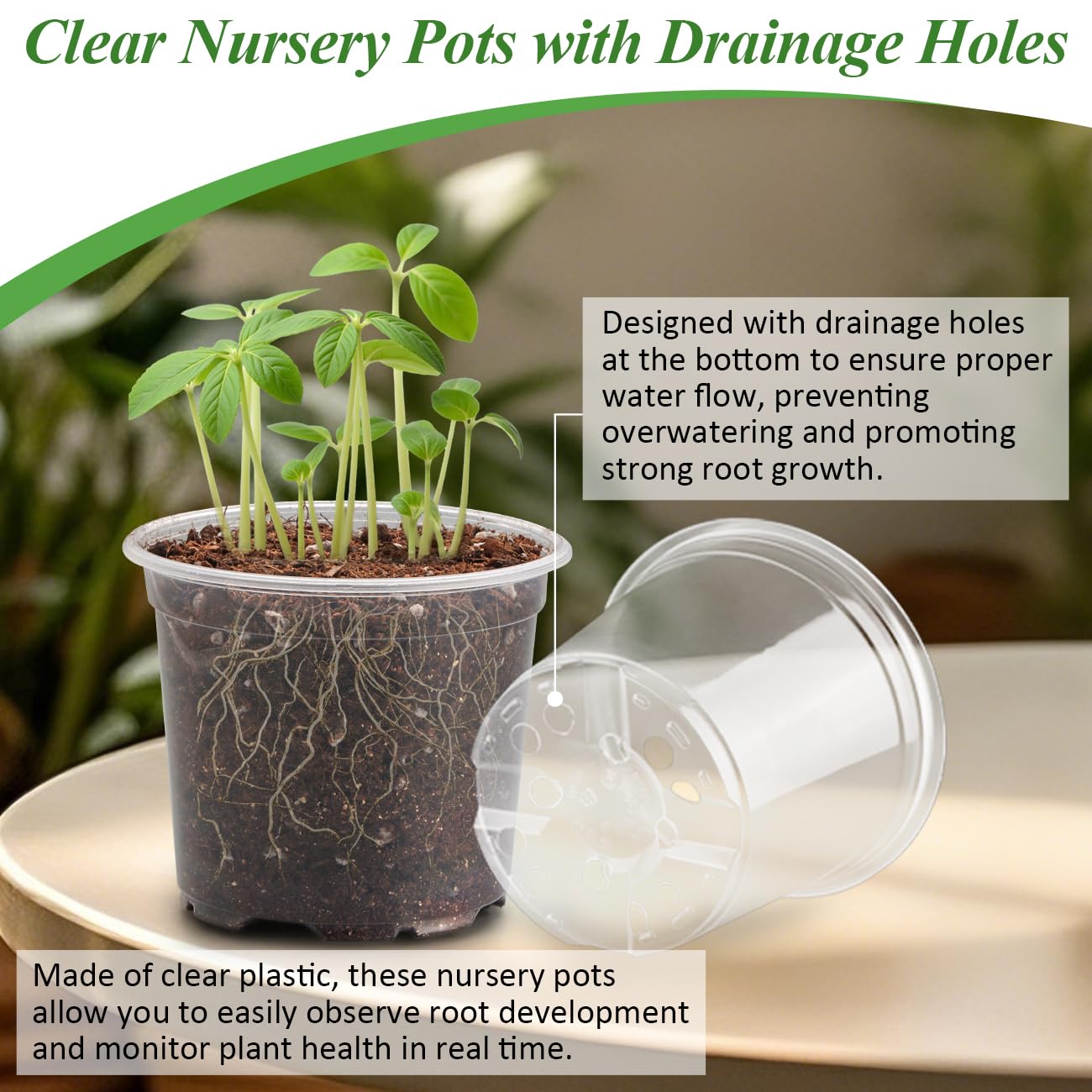 Humidity dome for RooTrimmer nursery pots