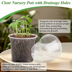 Humidity dome for RooTrimmer nursery pots