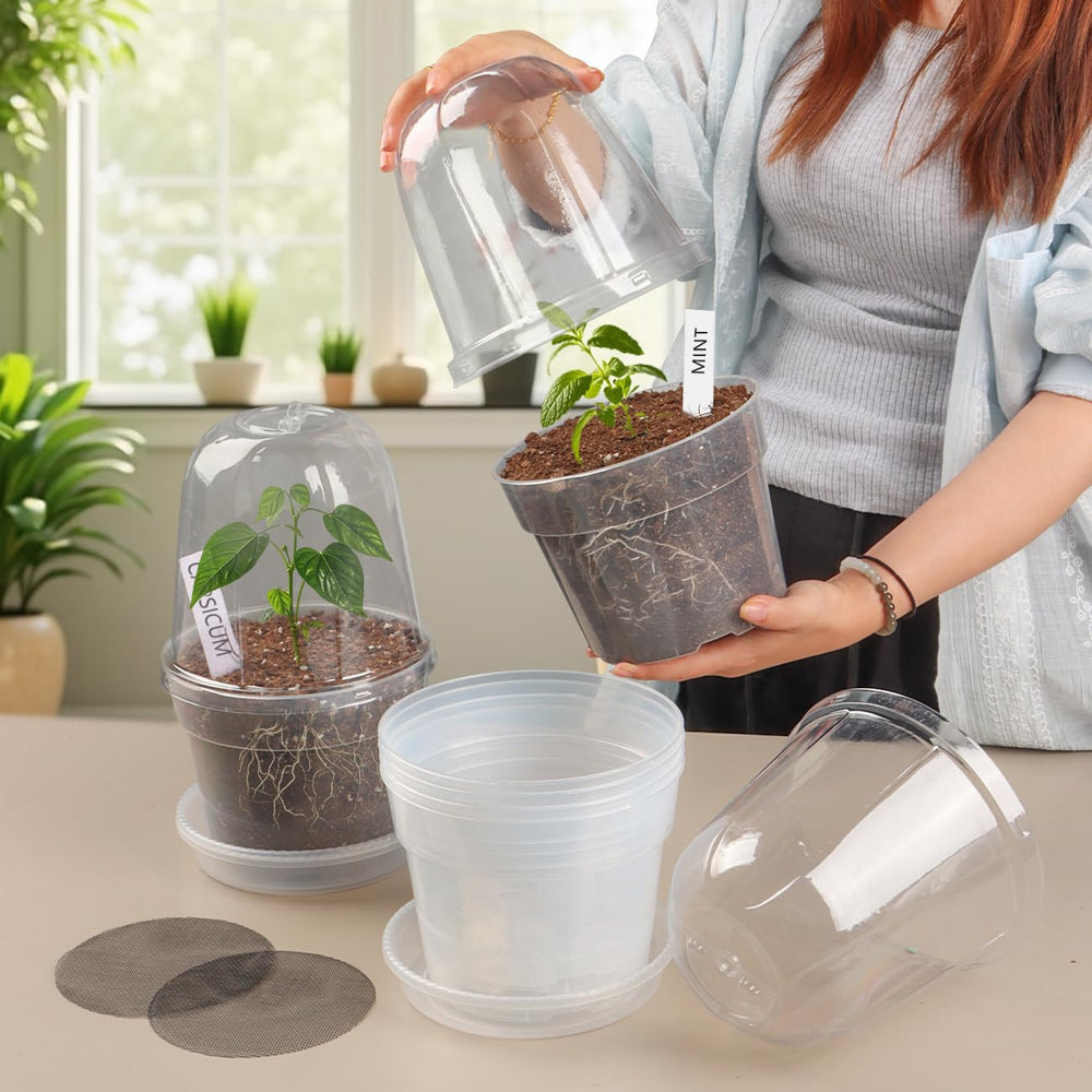 Humidity dome on BTPLASTIK clear nursery pot displaying plant roots