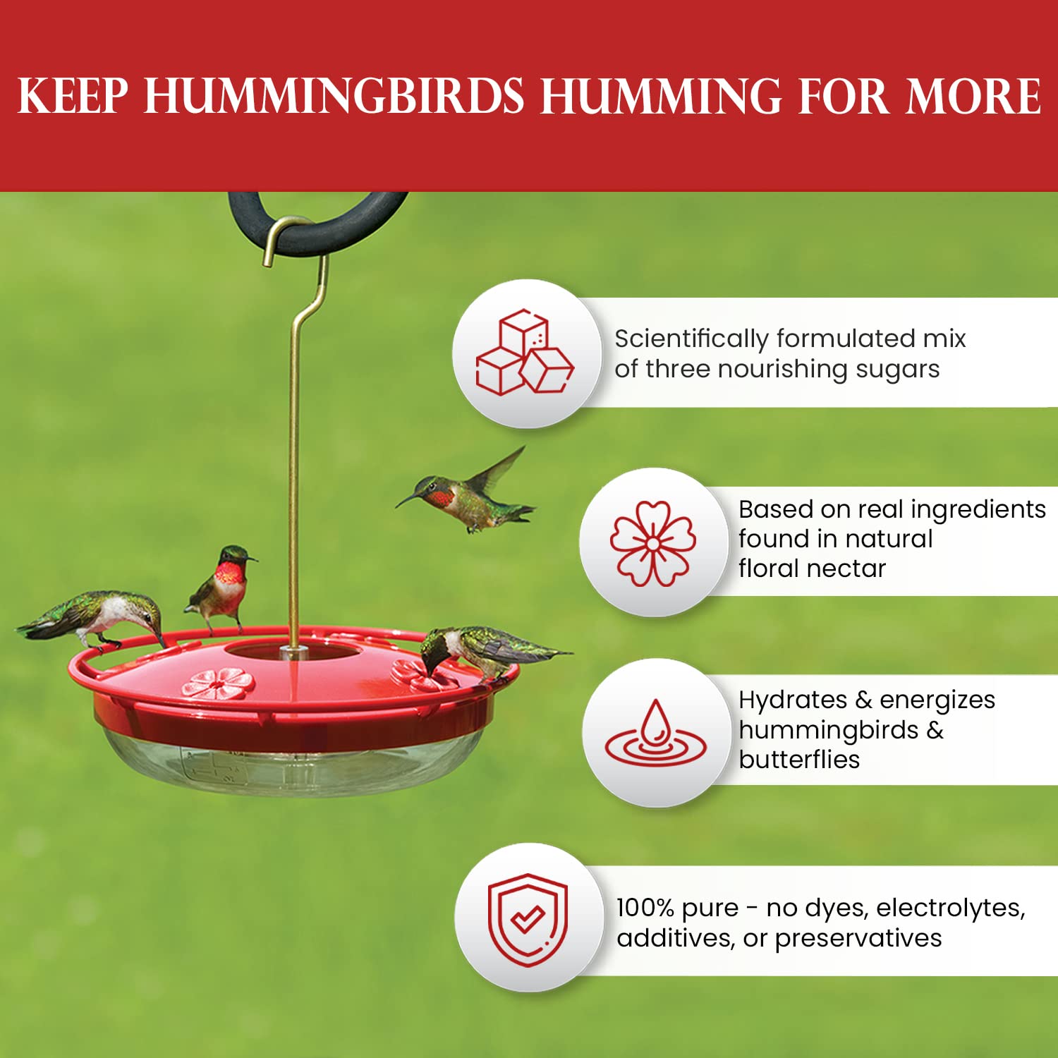 Hummingbirds feeding on a garden feeder