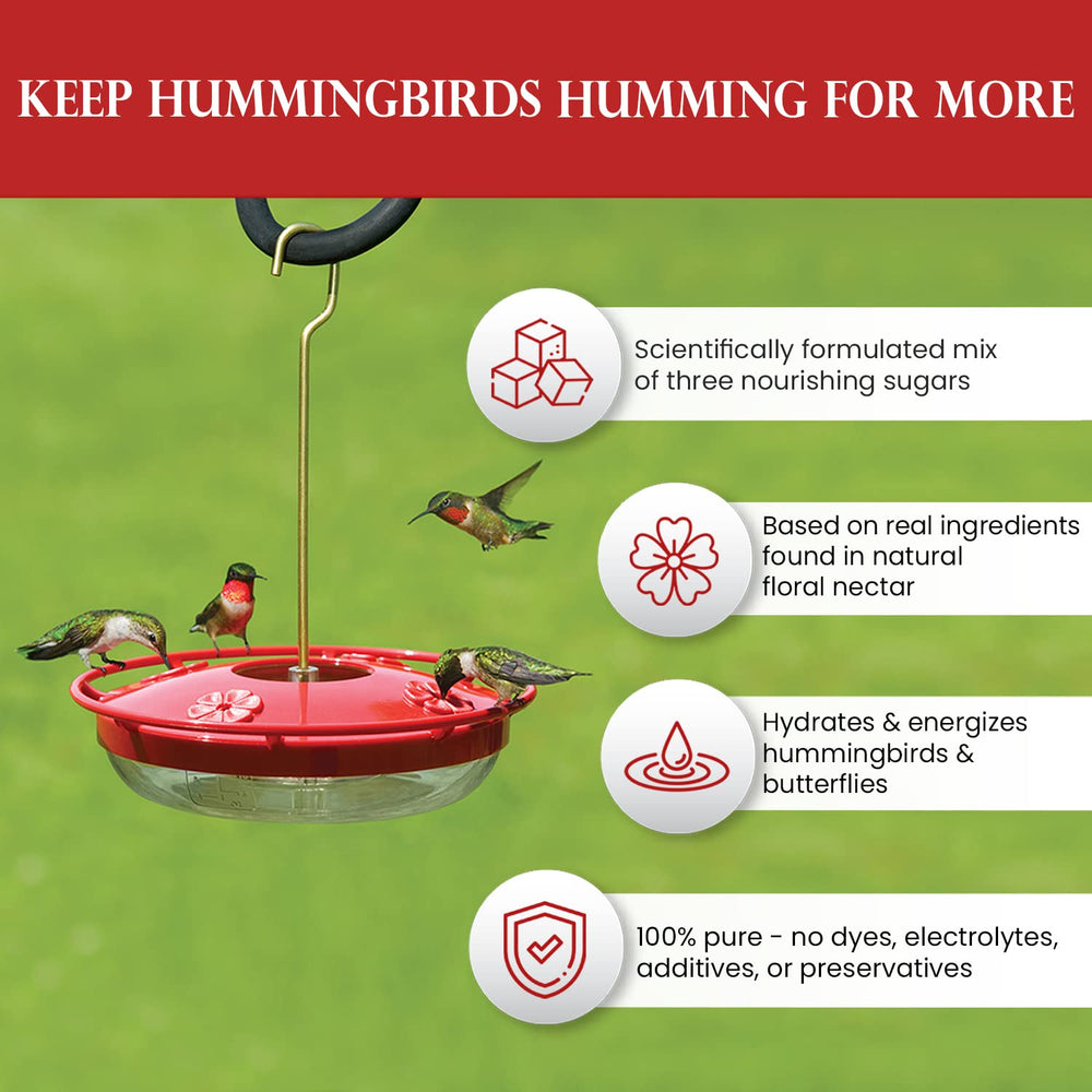 Hummingbirds feeding on a garden feeder