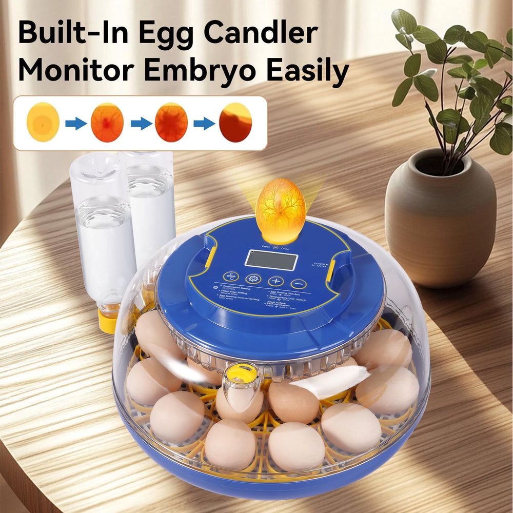 Humorrap egg incubator with external water bottle