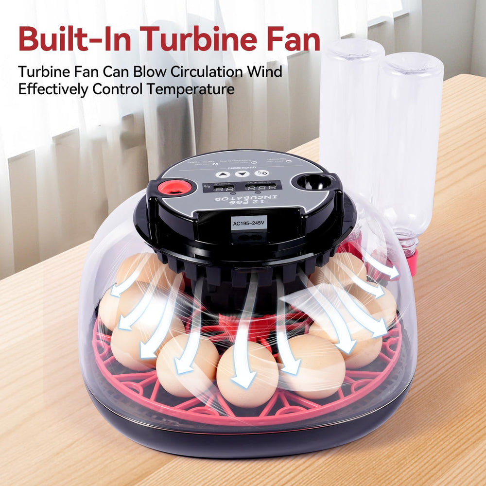 Humorrap egg incubator with external water bottle
