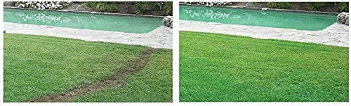 Hydro Mousse application results showing lush green grass