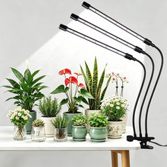 Hywyimlait Black Grow Light with three heads on display