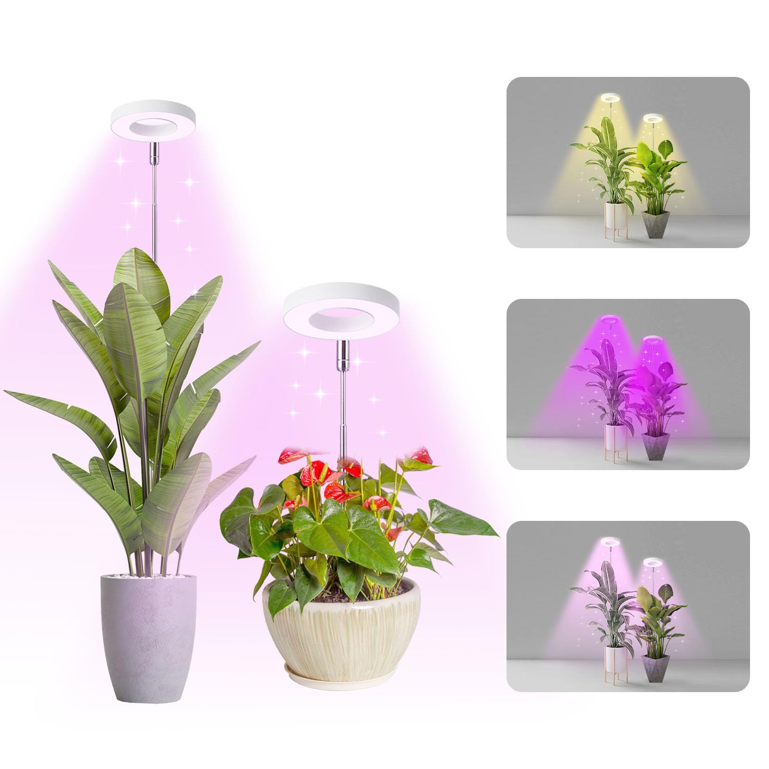 Hywyimlait Halo Ring Grow Light front view with adjustable height