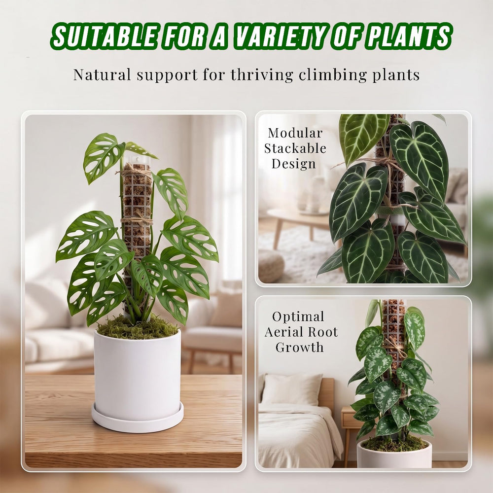 HYYZ Small Moss Pole packaging showing four pieces