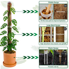 HYYZ Small Moss Pole set up in a pot with a Monstera plant
