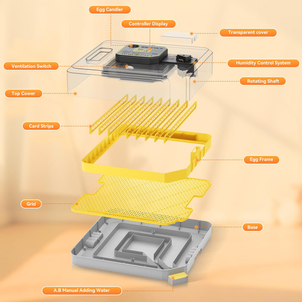 IBKINXX Incubator showing adjustable card strips for various eggs