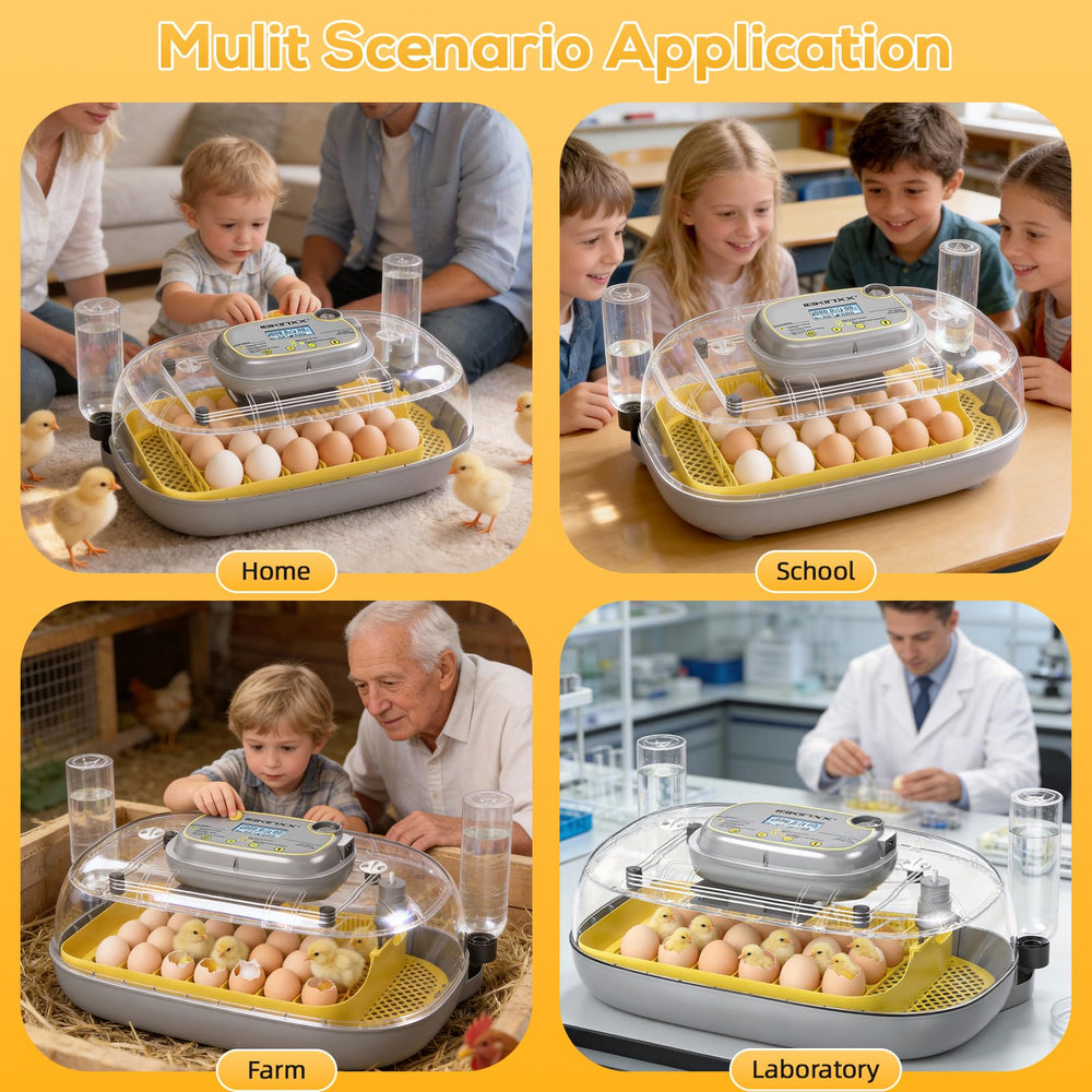 IBKINXX incubator showing assembled parts and structure
