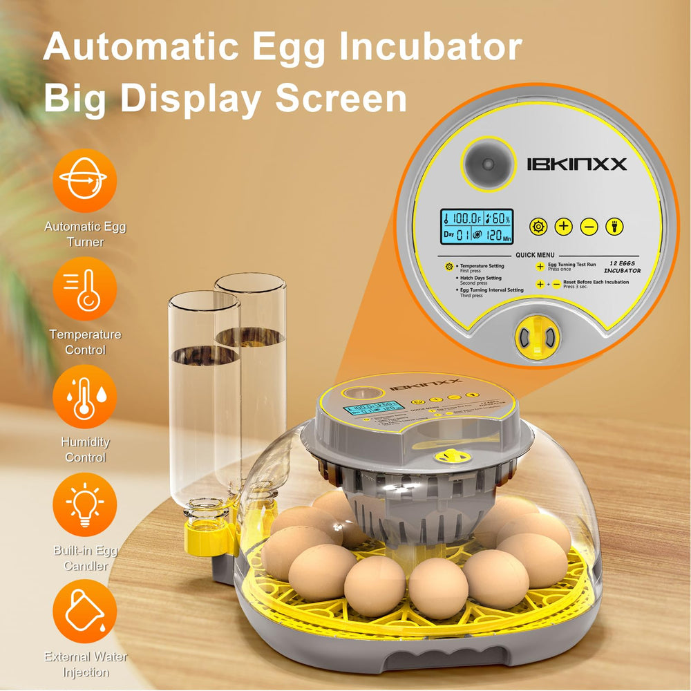 IBKINXX Incubator with eggs inside during hatching process