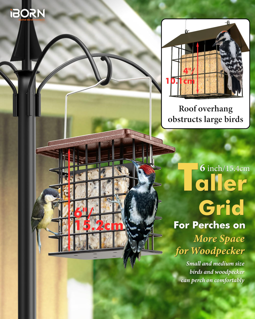 iBorn Double Suet Feeder displayed in a garden setting