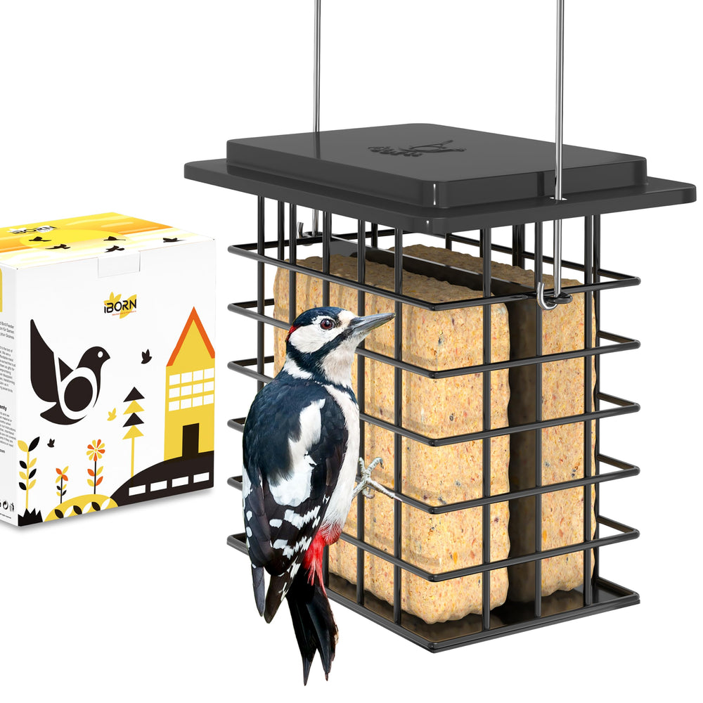 iBorn Double Suet Feeder in black, front view