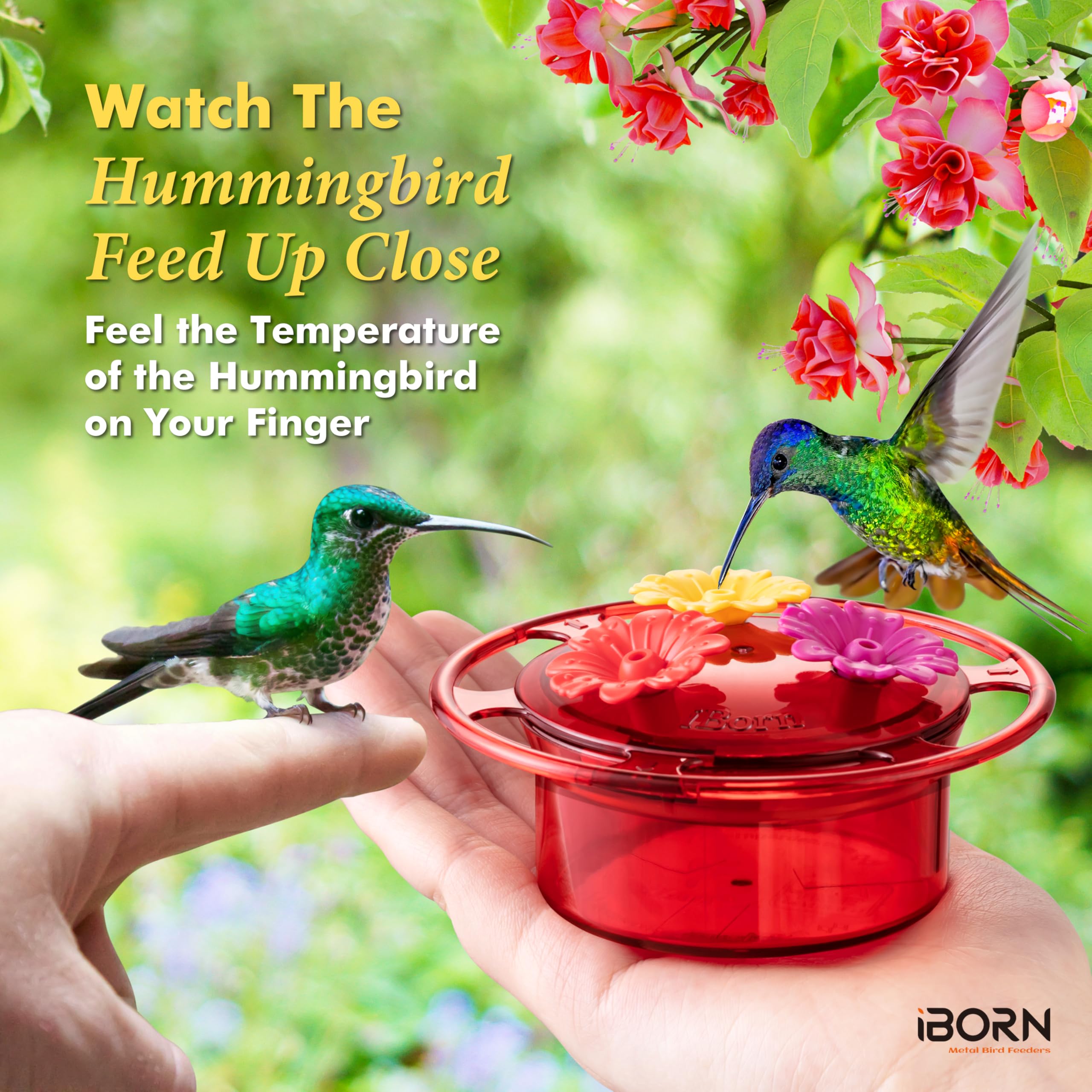 iBorn Handheld Hummingbird Feeder held by a person outdoors