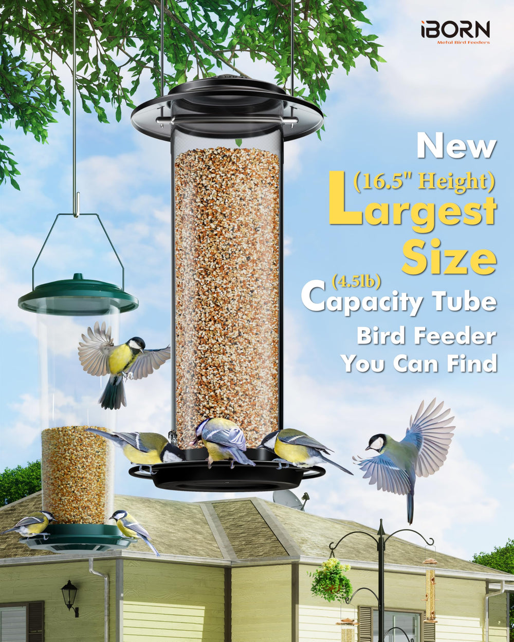 iBorn Metal Bird Feeder showcasing fixed stainless steel hanger