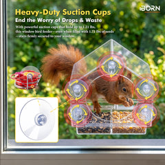 iBorn Window Hummingbird Feeder with three silicone feeding ports