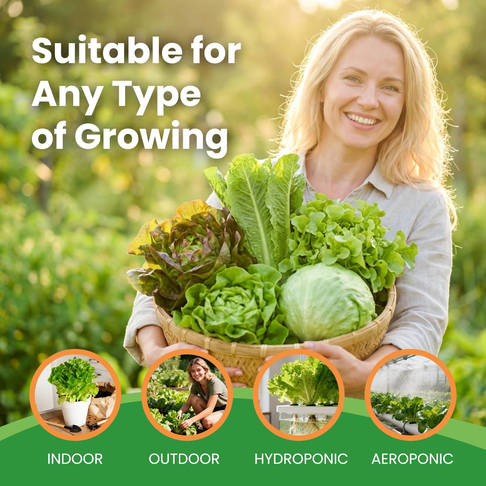 Iceberg lettuce seeds from Fruivity variety pack