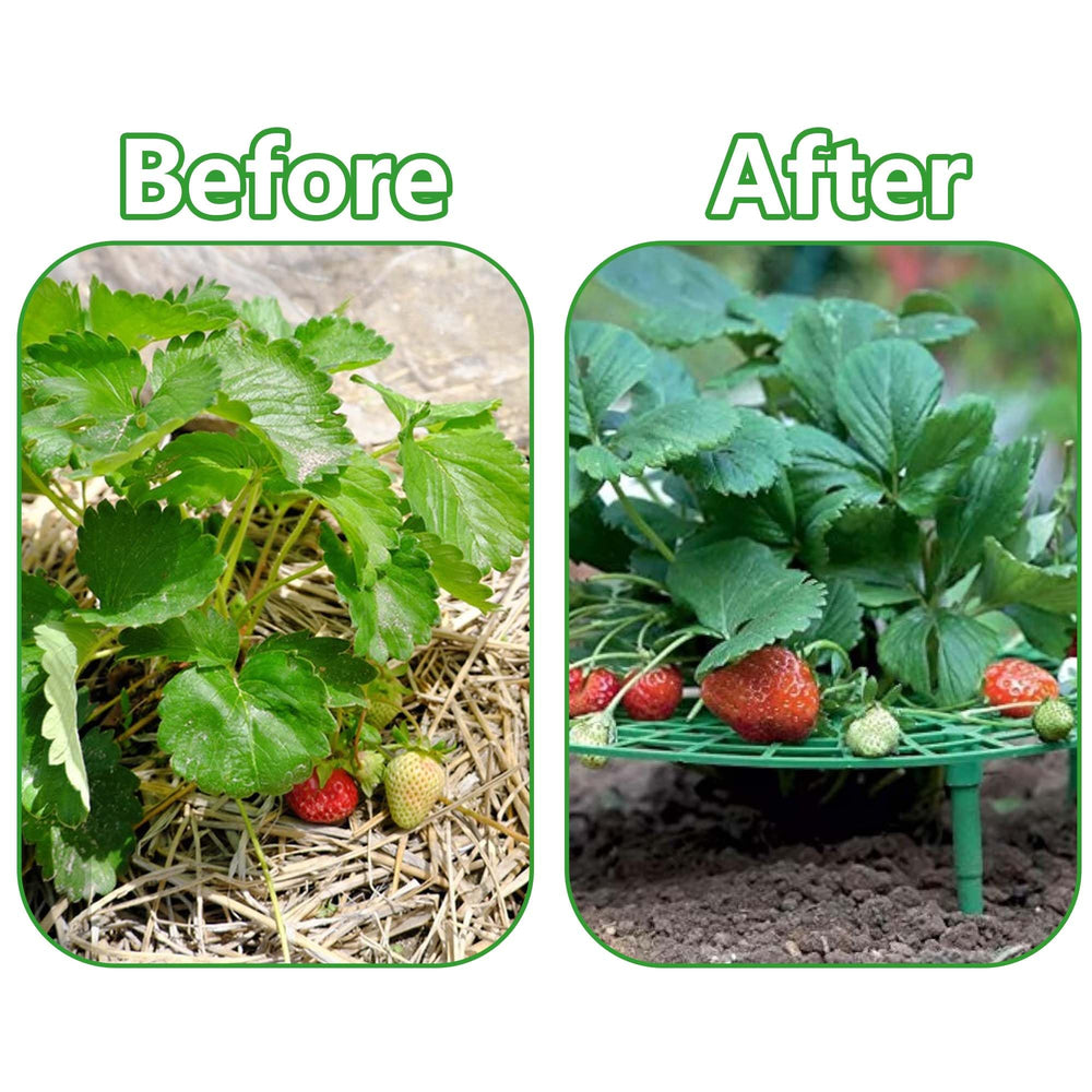 Iceyyyy Strawberry Plant Support pack display with all components