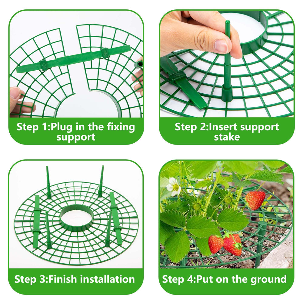 Iceyyyy Strawberry supports showing easy assembly process