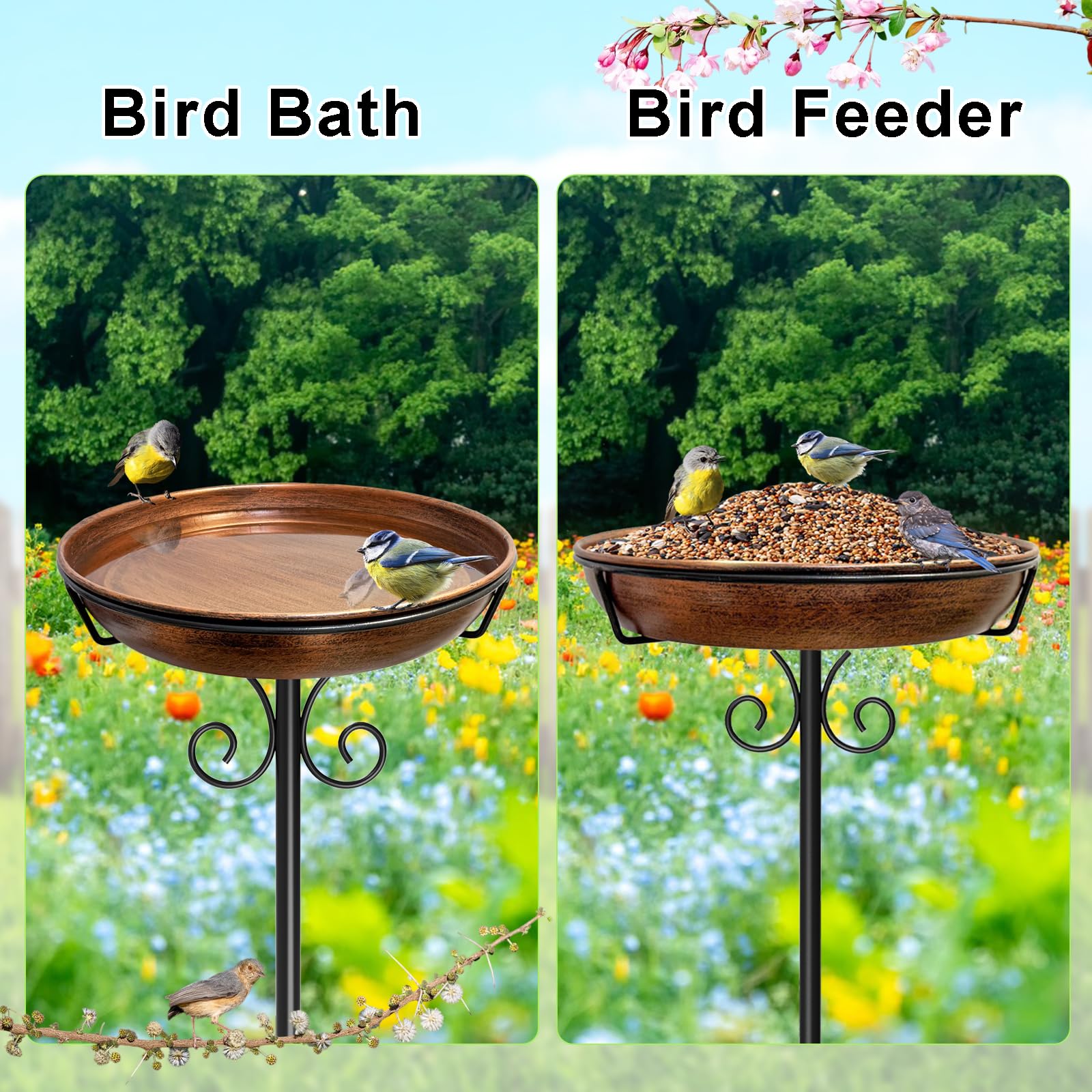 iCHKED bird bath during daytime with birds