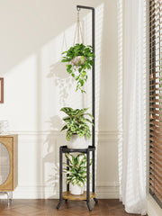 iDavosic.ly 2 Tier Hanging Plant Stand front view with plants