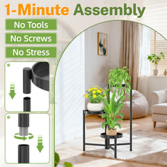 iDavosic.ly 3 Tier Plant Stand with plants displayed on each tier