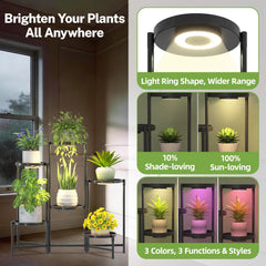 iDavosic.ly 6 Tier Plant Stand assembled with various plants