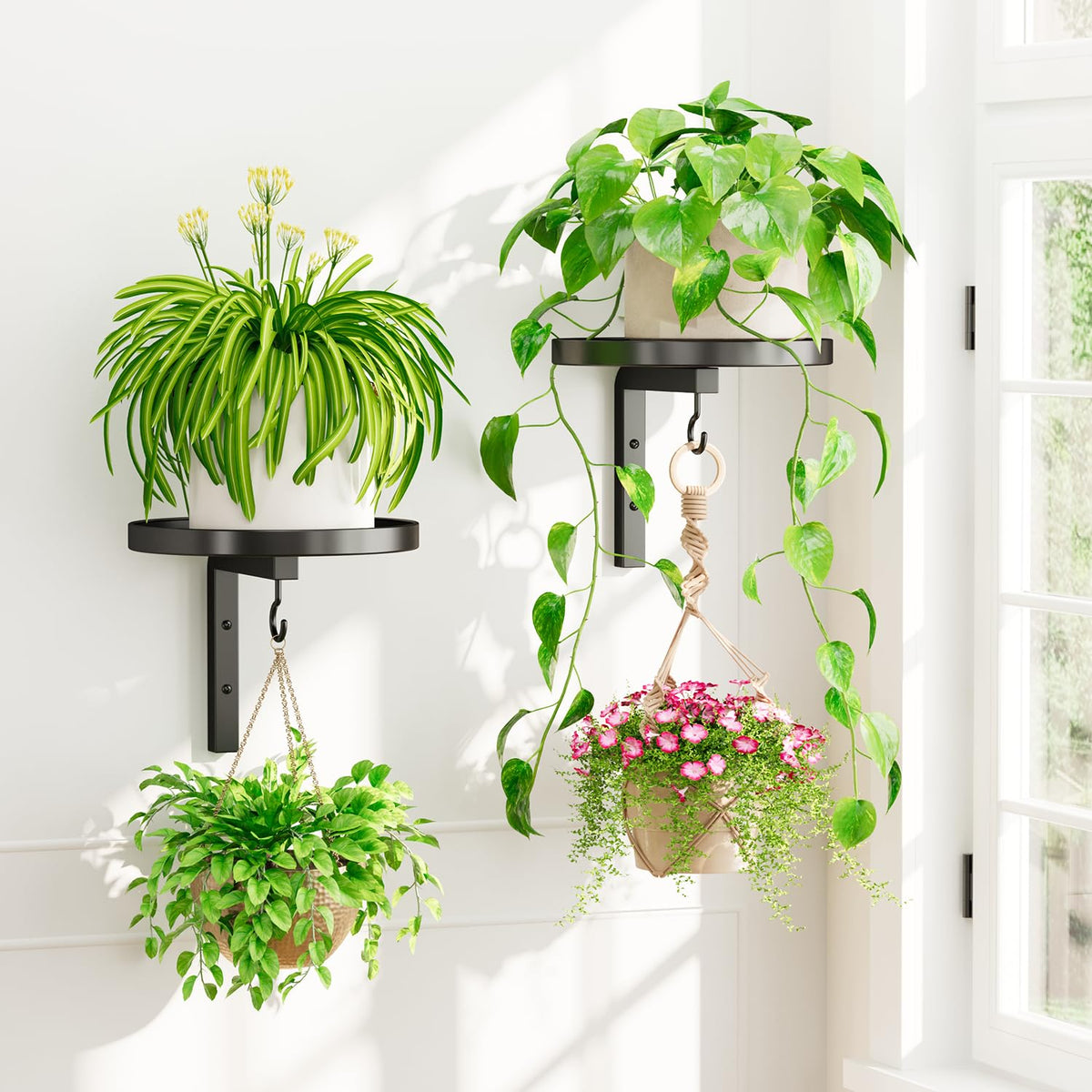 iDavosic.ly Plant Wall Hanger Set of 2 in black, side view