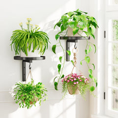 iDavosic.ly Plant Wall Hanger Set of 2 in black, side view