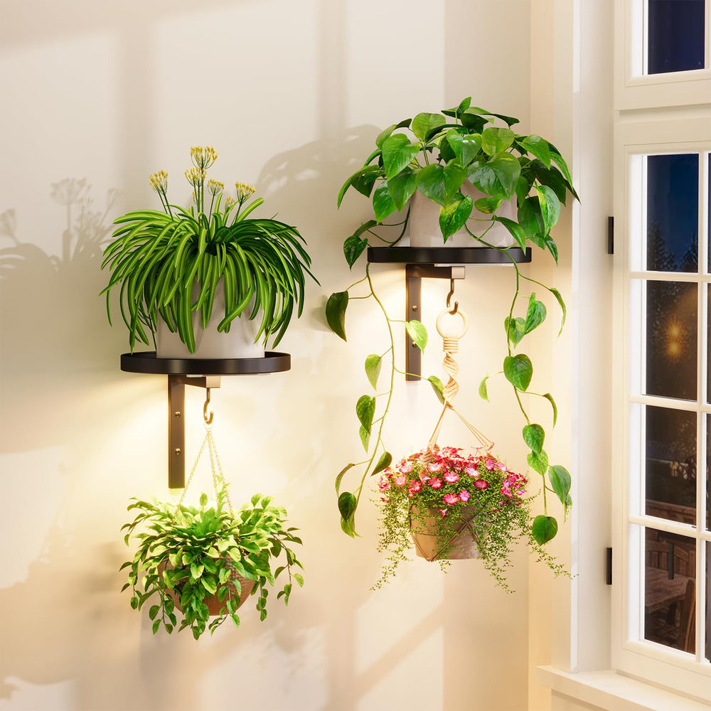 iDavosic.ly Plant Wall Hanger Set of 2 in black with grow lights
