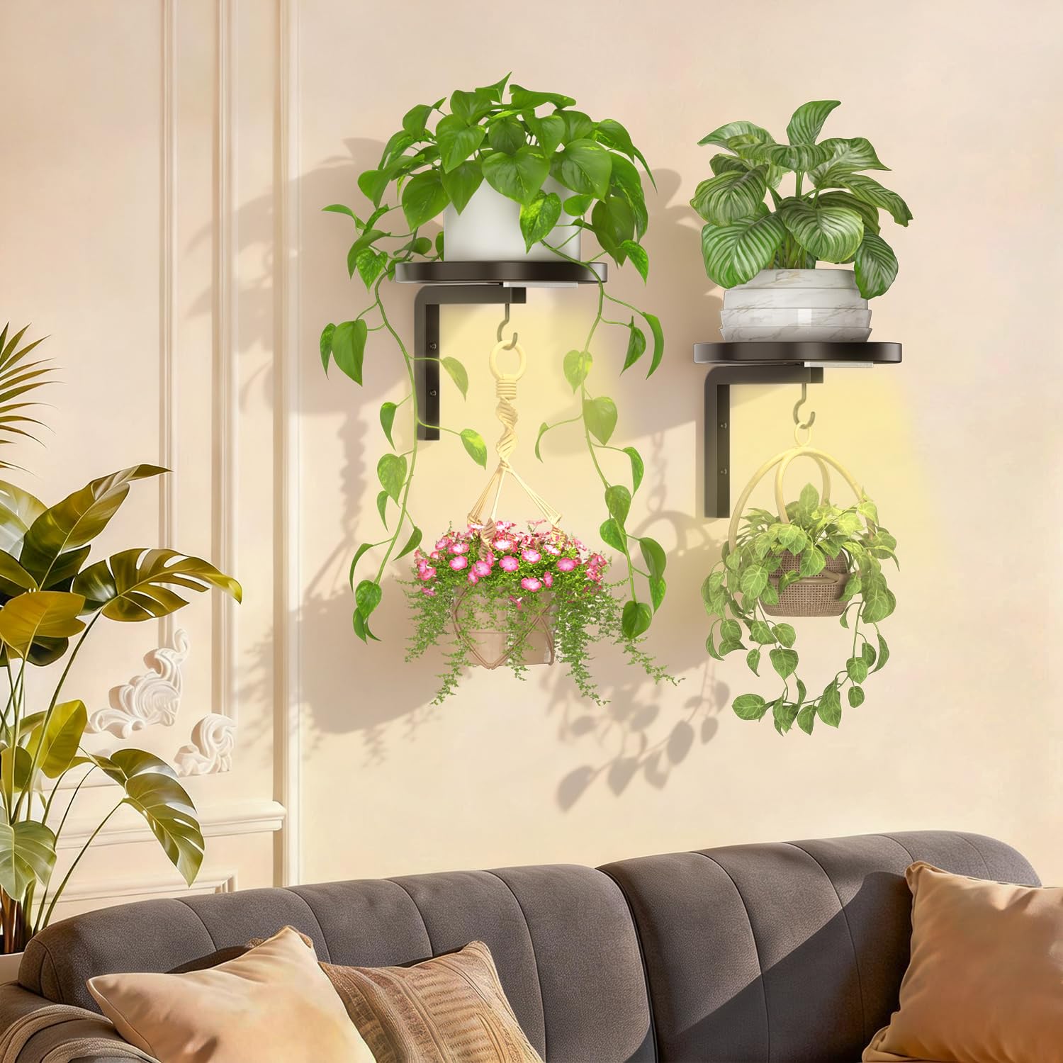 iDavosic.ly plant wall hanger showing its strong support design